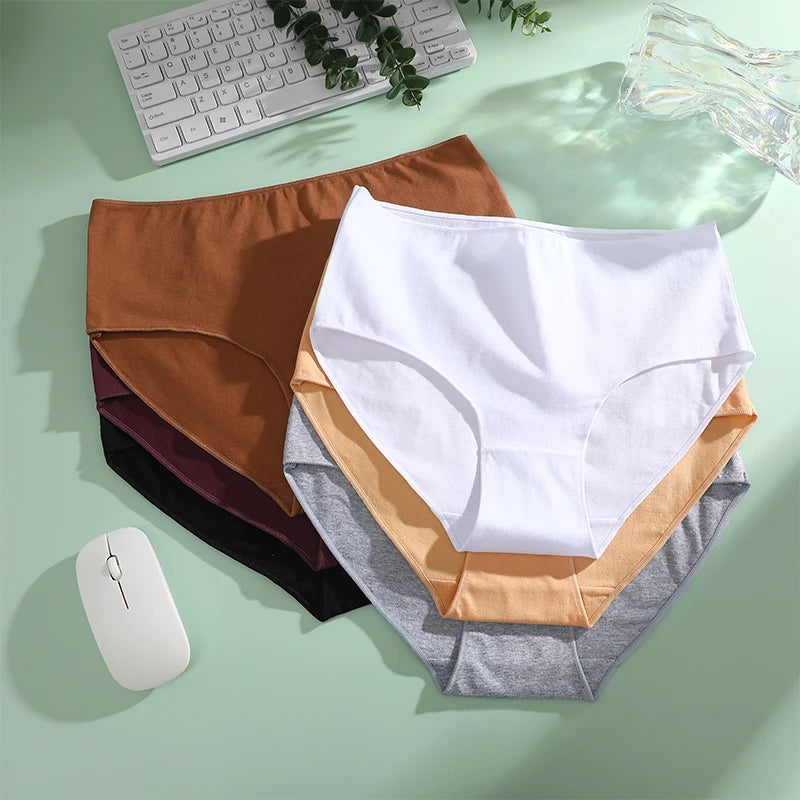 Lot de 4 culottes coton sans couture
